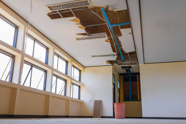 Best Water damage contractors near me  in Delavan, WI
