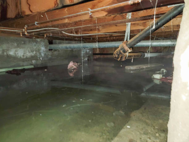 Water damage restoration experts in Delavan, WI