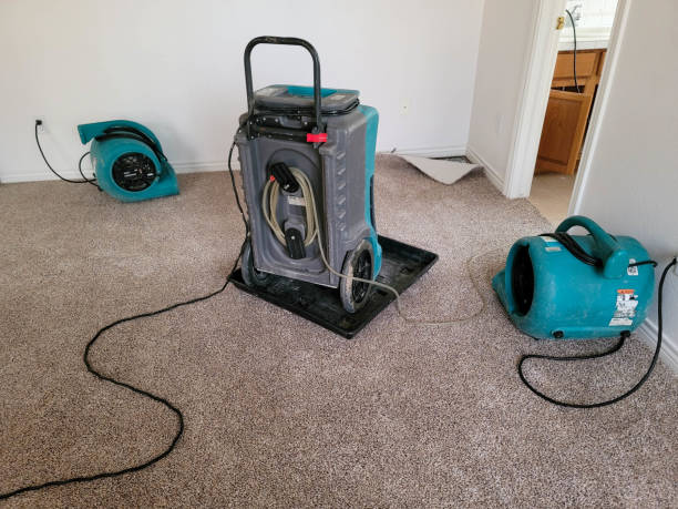 Best 24/7 water damage repair  in Delavan, WI