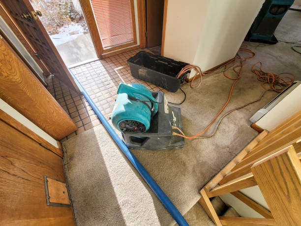 Best Residential water damage restoration  in Delavan, WI