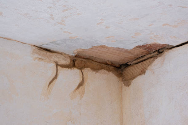 Best Water damage restoration cost  in Delavan, WI