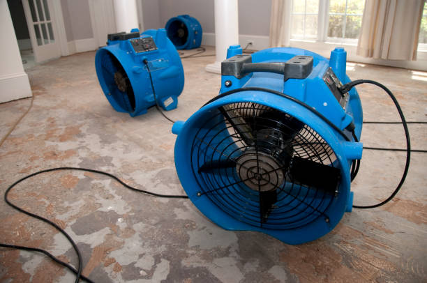 Best Flood restoration services  in Delavan, WI