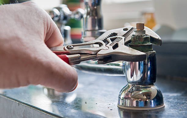 Best Flood damage cleanup  in Delavan, WI