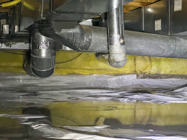 Best Water damage restoration specialists  in Delavan, WI